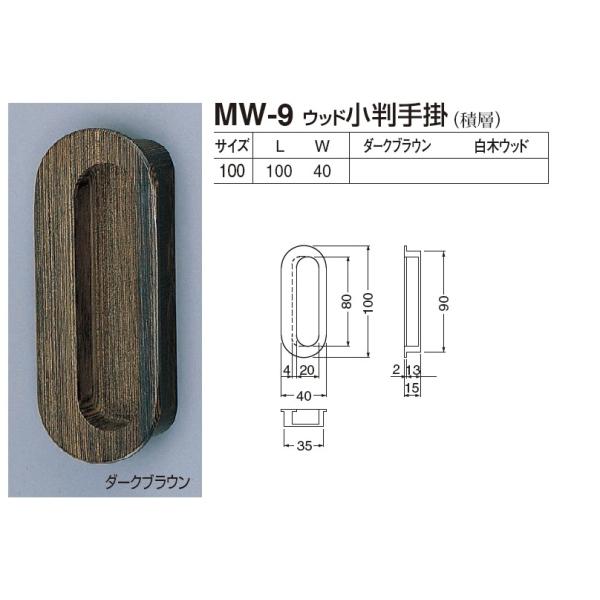 ˁA˗p@Ebh |@100TCY@[։