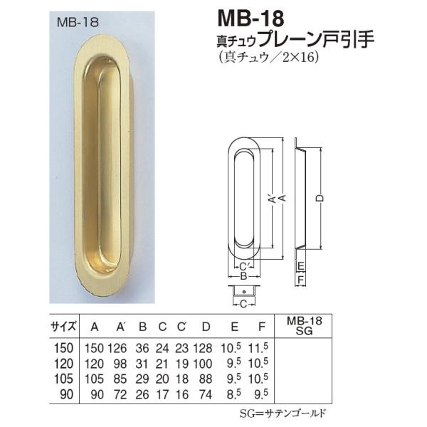 ˁA˗p@v[ˈ@120TCY@[։