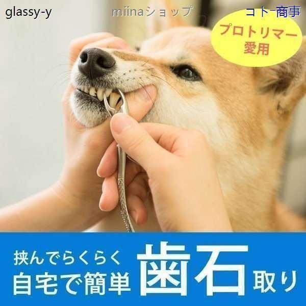 愛犬・愛猫用 歯石取り ペンチ 犬 歯石 デンタルケア ホームケア