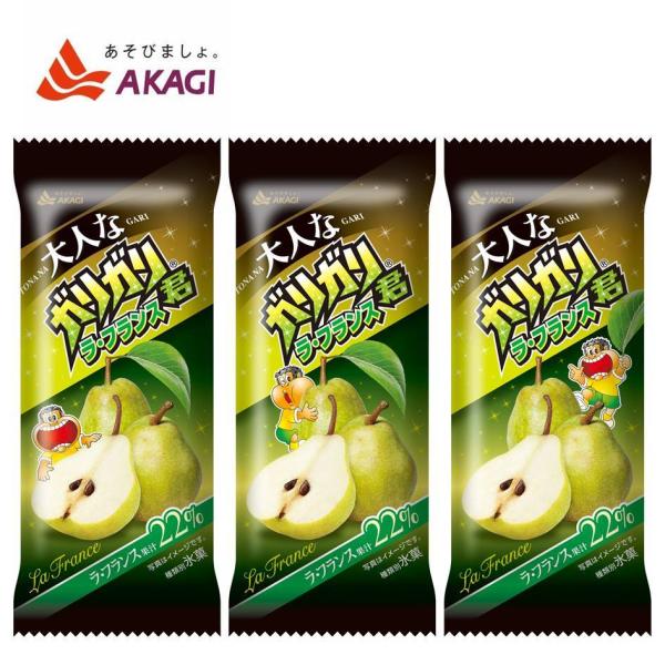 赤城乳業 ガリガリ君の販売ネット通販 Deedrill Com ディードリル