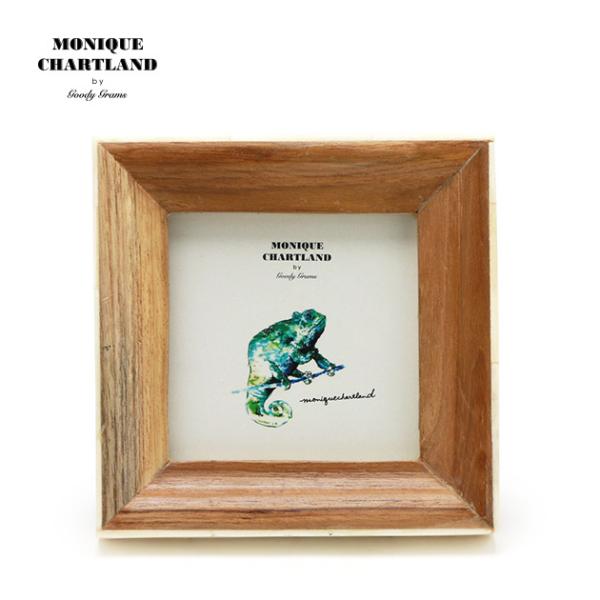 ʐ^ tHgt[  킢 I AeB[N i`  Ǌ| Mtg a v[g