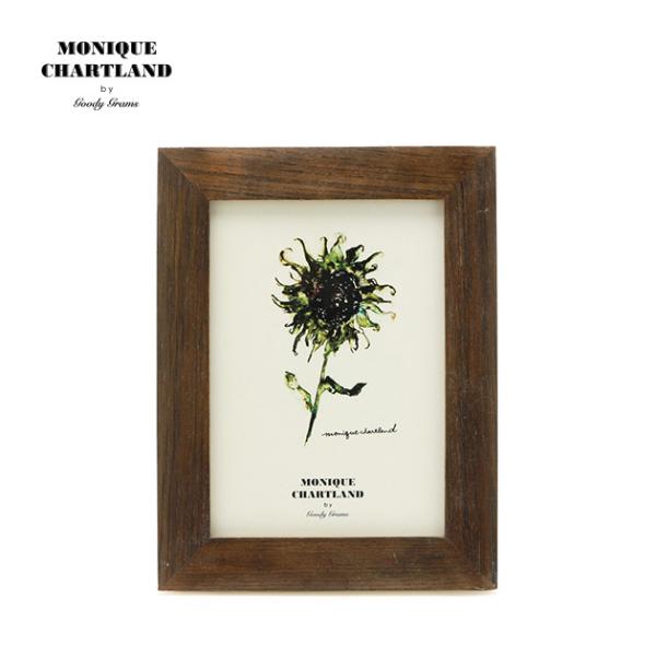 ʐ^ tHgt[  킢 I AeB[N i`  Ǌ| Mtg a v[g PHO