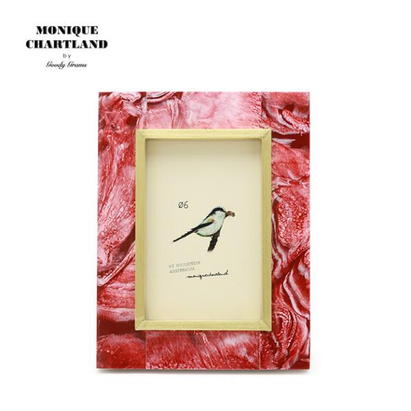 ʐ^ tHgt[  킢 I AeB[N i`  Ǌ| Mtg a v[g PHO