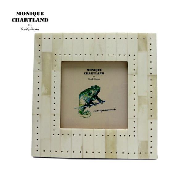 ʐ^ tHgt[ Ǌ|  킢 AeB[N CeAG j 