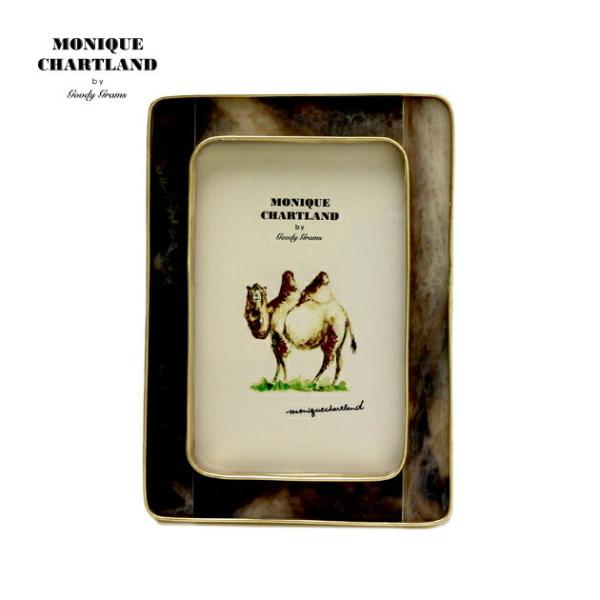 ʐ^ tHgt[ Ǌ|  킢 AeB[N CeAG j 