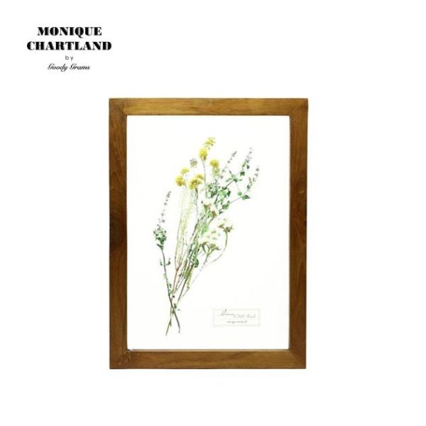 A[gt[ hCt[ z z A[g|X^[ ؐ  Goody Grams GLASS FRAME FLOWER YELLOW