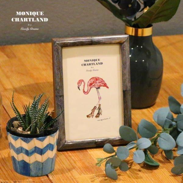 tHgt[ O[  AeB[N ʐ^ Goody Grams CHAMELI