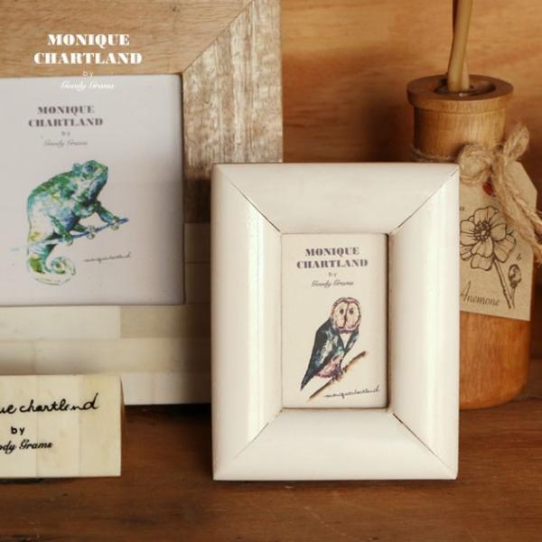 tHgt[  zCg  AeB[N ʐ^ Goody Grams DAKSH