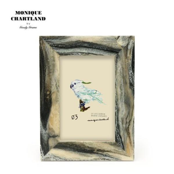 tHgt[ Ǌ| ʐ^ AeB[N  킢  Goody gramsYASH