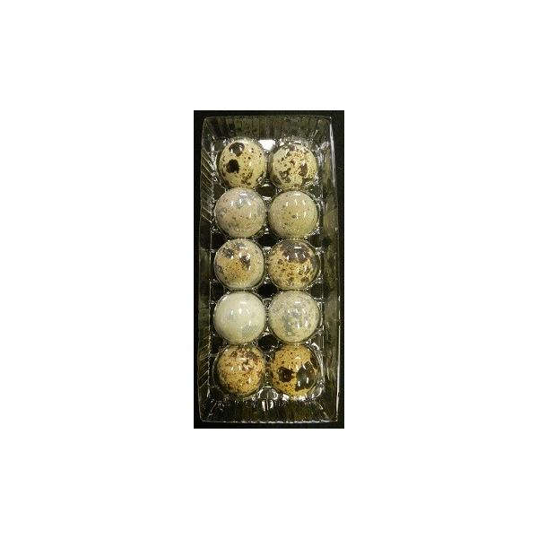 うずら卵 有精卵 1パック（10個）入（箱代込） : うずらの