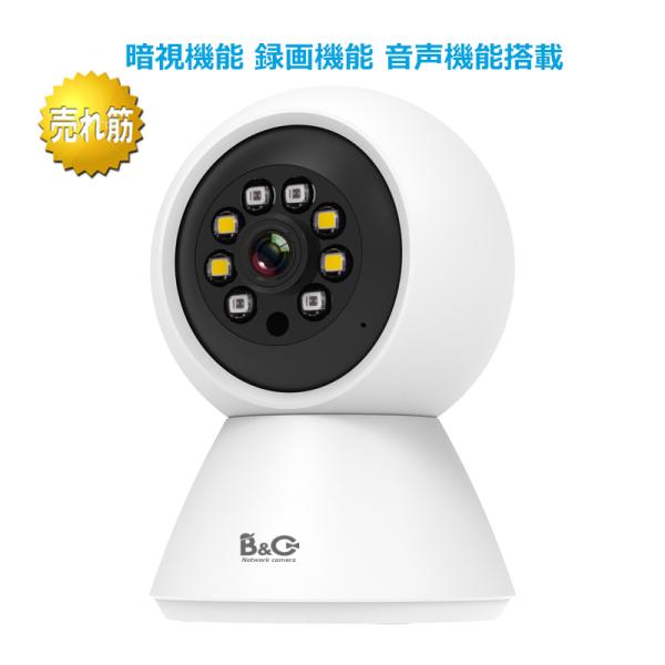 �h�ƃJ���� �l�b�g���[�N�J���� WiFi �p�\�R�� PC�K�� ���̌��m �����^��ǐ� �X�}�z�Ō��� ���� �x�r�[���j�^�[ �q������҉��y�b�g�����Ď� Vstarcam Eye4 ���i�摜2