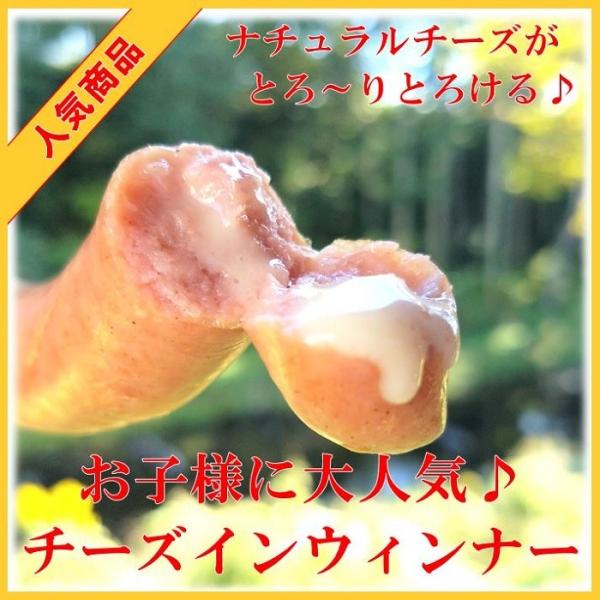 天然腸国産豚肉の粗挽きウィンナーソーセージです1パック約２００ｇ　　　賞味期限　約１５日ナチュラルチーズがたっぷり入ったとってもまろやかなソーセージです　かるく茹でるだけでとってもおいしいです参考キーワードリスト出産 出産内祝い 熨斗 名前...