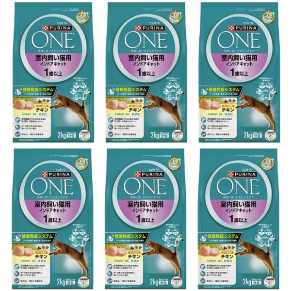 ピュリナワン 6袋セット 室内飼い インドア キャット チキン ピュリナ