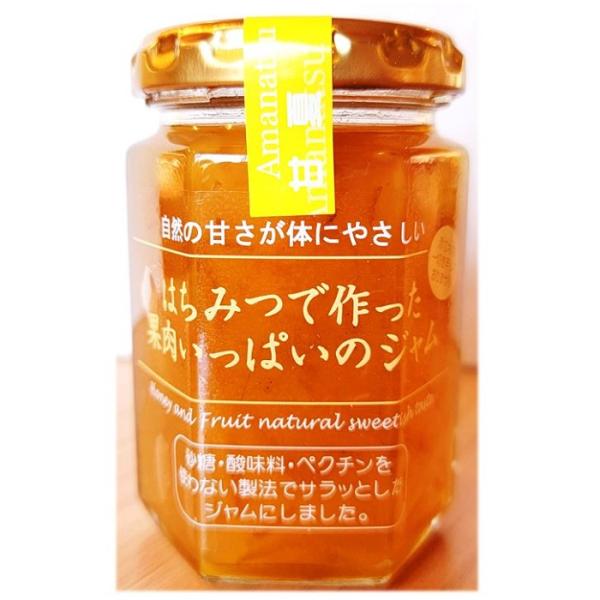 ハチミツと果実で作った ノンシュガー の 無添加 自然 食品 です。真空調理釜により、できるだけ果実そのままの天然の色や形を保ち栄養成分を壊さず、添加物を使わずに仕上げることが出来ました。国産の甘夏のマーマレードです。主に熊本産の苦みの少な...