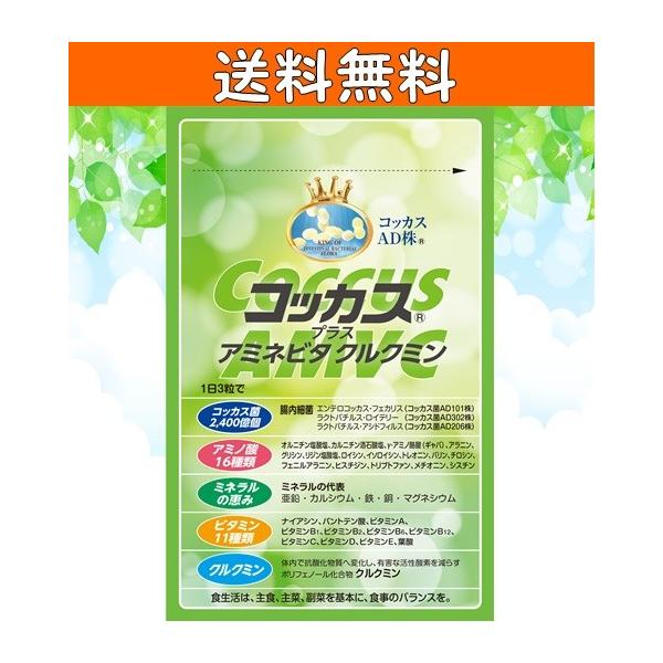 腸活　善玉菌　サプリメント　コッカス　プラス　アミネ　ビタクルクミン　3袋 コッカスプラスアミネビタクルクミン90粒入り 腸内フローラ 善玉