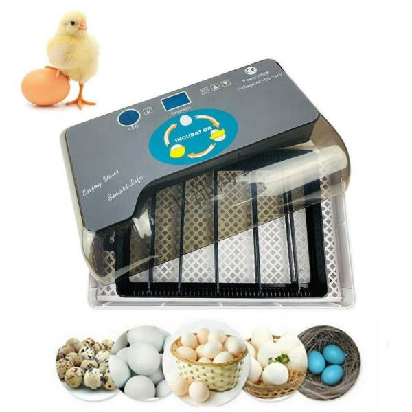自動孵卵器 インキュベーター 鳥類専用ふ卵器 鶏 にわとり ウズラ