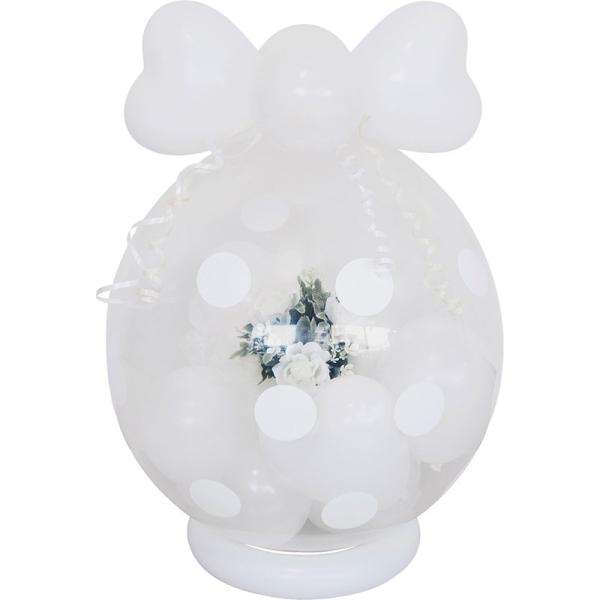 o[ Mtg A[gt[  a  j d D AWg bsOo[ jo[81