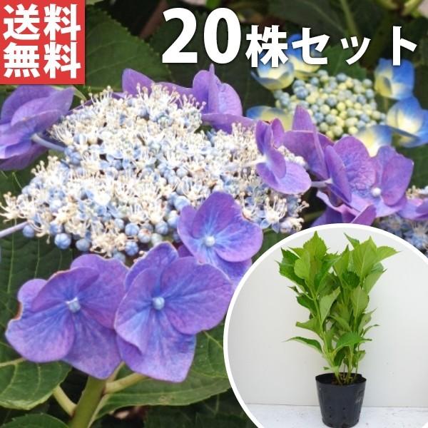 額 アジサイ Diy 工具の人気商品 通販 価格比較 価格 Com