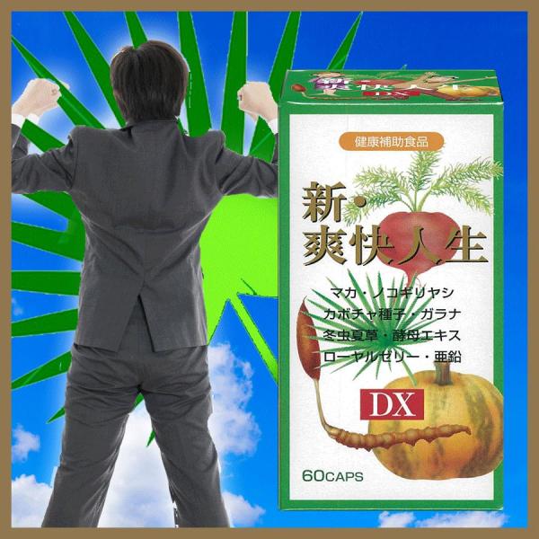 [Release date: April 1, 2019]新・爽快人生DX　　ハードカプセル●名　　称：マカエキス加工食品●原材料名：ノコギリヤシエキス末（国内製造）、マカエキス末、デキストリン、ガラナ末、酵母（亜鉛含有）、　　　　　　カボ...