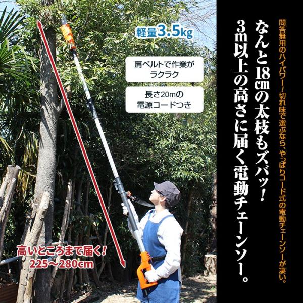 直送 高枝切り電動チェーンソーｖ 農具 U Port ユーポート
