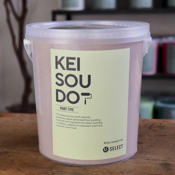 珪藻土 塗料 壁材 内装 内壁 ペイント材 DIY U-SELECT KEISOUDO PAINT 4kg【ASH】