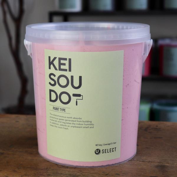 珪藻土 塗料 壁材 内装 内壁 ペイント材 DIY U-SELECT KEISOUDO PAINT 4kg【CANDY】