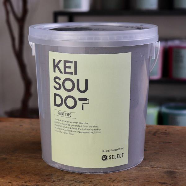 珪藻土 塗料 壁材 内装 内壁 ペイント材 DIY U-SELECT材 KEISOUDO PAINT 4kg【CLOUD】