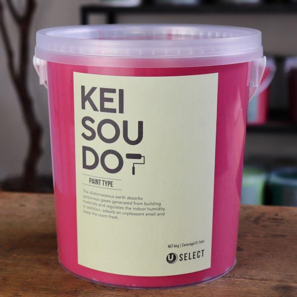 珪藻土 塗料 壁材 内装 内壁 ペイント材 DIY U-SELECT KEISOUDO PAINT 4kg【LOLLIPOP】