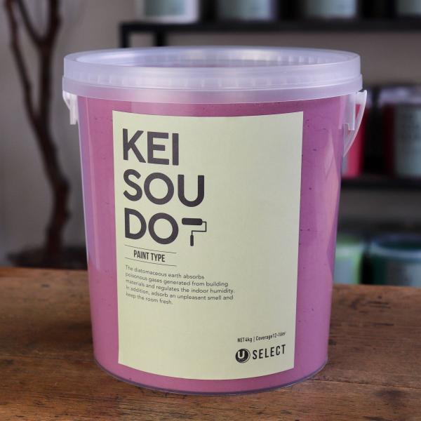 珪藻土 塗料 壁材 内装 内壁 ペイント材 DIY U-SELECT KEISOUDO PAINT 4kg【PETAL】