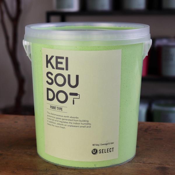 珪藻土 塗料 壁材 内装 内壁 ペイント材 DIY U-SELECT KEISOUDO PAINT 4kg【PISTACHIO】