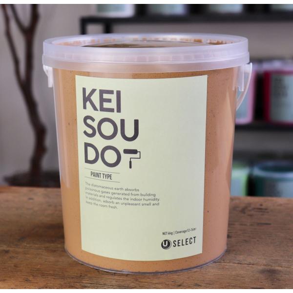 珪藻土 塗料 壁材 内装 内壁 ペイント材 DIY U-SELECT KEISOUDO PAINT 4kg【SEDONA】