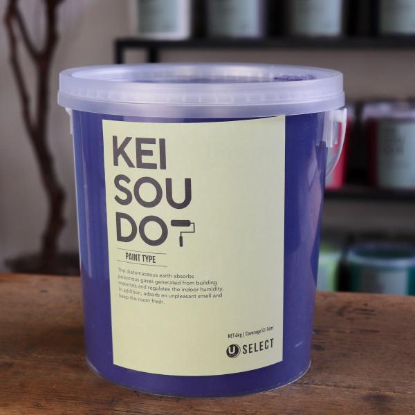 珪藻土 塗料 壁材 内装 内壁 ペイント材 DIY U-SELECT KEISOUDO PAINT 4kg【SPLASH】