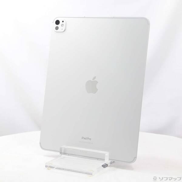中古MVVH3J/A [シルバー] APPLE 〔中古〕iPad Pro 13インチ(第1世代) Wi-Fi 256GB 標準