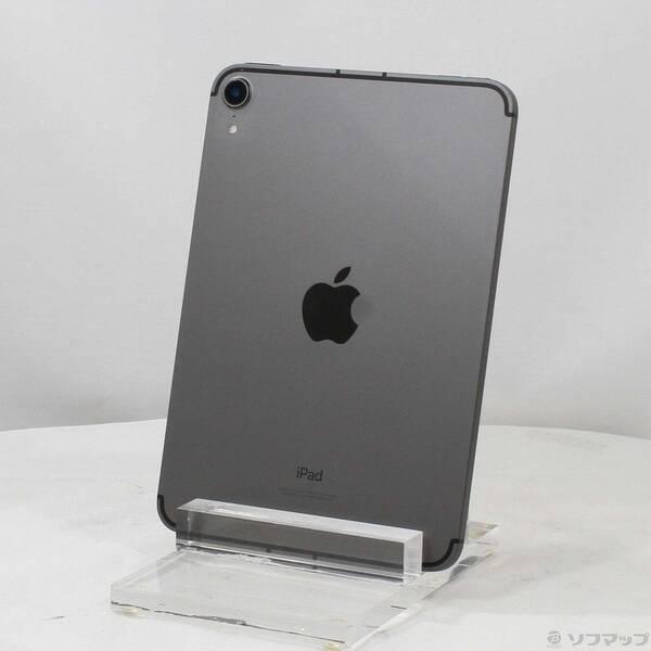 中古〕Apple(アップル) iPad mini 第6世代 256GB スペースグレイ
