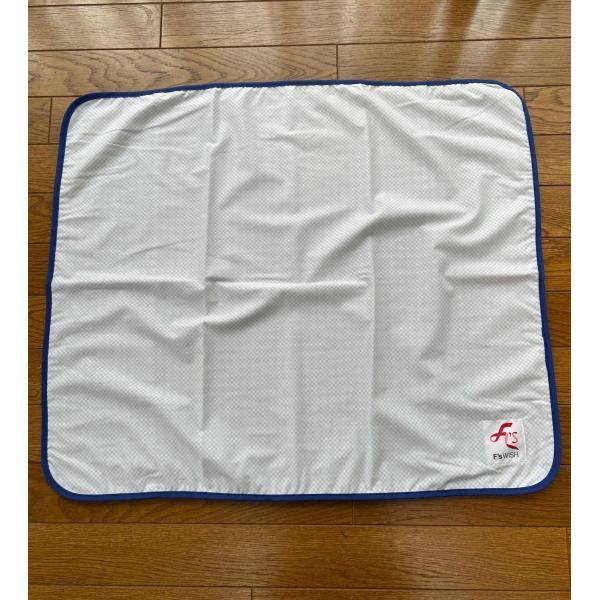 ペット用 冷感シーツ クールマット Sサイズ 犬 猫 接触冷感 放熱 ひんやり 夏用 暑さ対策 快眠 クールシーツ F'swish エフズウィッシュ テラペットクールシーツ