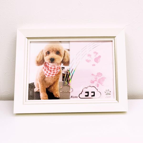 ボイスカードかんたん30秒録音再生可能。何度でもやり直し可能ができる肉球型。送料無料です。　爆買