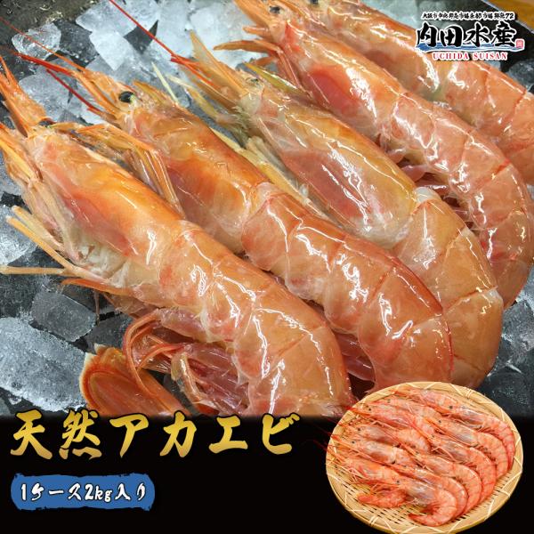 名称　お刺身用アカエビ(アルゼンチン産)内容量　2kg原産国　アルゼンチン賞味期限　家庭用冷凍約1ヶ月 解凍後はなるべくお早目に保存方法　要冷凍−18℃以下