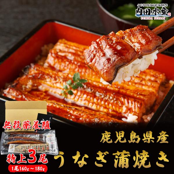 名称　うなぎ蒲焼き内容量　1尾（約160g〜180g前後）×3原材料　うなぎ（鹿児島県産）、しょうゆ（大豆・小麦を含む）、砂糖混合異性化液糖、発酵調味料、水あめ、砂糖、うなぎエキス（大豆・小麦を含む）添加物　酒精、増粘剤（加工でん粉、増粘多...