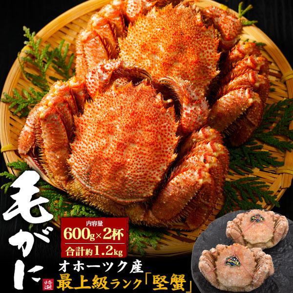 毛ガニ 2杯 約600g×2 合計約1.2kg 人気 お取り寄せ ネット カニ グルメ ランキング 食材 贈り物 ギフト お祝い かに けがに 毛蟹 毛がに 毛かに