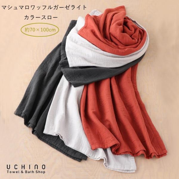 K[[Pbg UCHINO }V}btK[[Cg J[X[ 70×100cm Ђ| E`m^I X[Pbg ^I