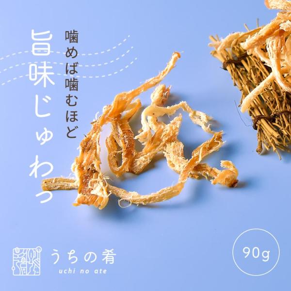 おつまみ つまみ プチギフト かむほど旨い するめさきいか チャック付き 珍味 いか 1袋 90g 送料無料 ぽっきり ポッキリ uchinoate