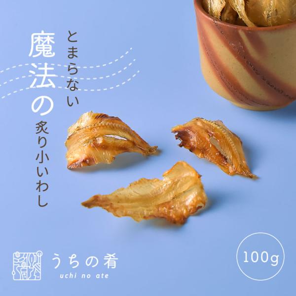 【商品番号】23040117007【商品名】 パクパクおかわり やわらか炙り小いわし【内容量】通常パック100g【原材料】いわし加工品（いわし（ベトナム産）、砂糖、食塩）／ソルビトール、調味料（アミノ酸）※本品製造工場ではエビ・カニ・乳成分...