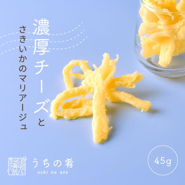 おつまみ つまみ プチギフト もちっと ぼてっと 濃厚チーズいか チャック付き 珍味 チーズ いか 1袋 45g 送料無料 ぽっきり ポッキリ uchinoate