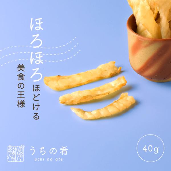 【タイムセール開催中】おつまみ つまみ プチギフト ほろほろほどける 焼き塩ふぐ チャック付き 珍味 ふぐ 1袋 40g 送料無料 uchinoate