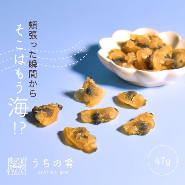 おつまみ つまみ 磯の香りひとり占め しっとりやわらか焼あさり チャック付き 珍味 あさり 1袋 47g 同時購入で送料無料うちの肴 うちのあて uchinoate