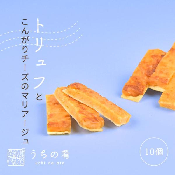 おつまみ つまみ プチギフト ちょっと贅沢 芳醇トリュフ ローストチーズ チャック付き 珍味 チーズ タラ 1袋 10個 送料無料 uchinoate