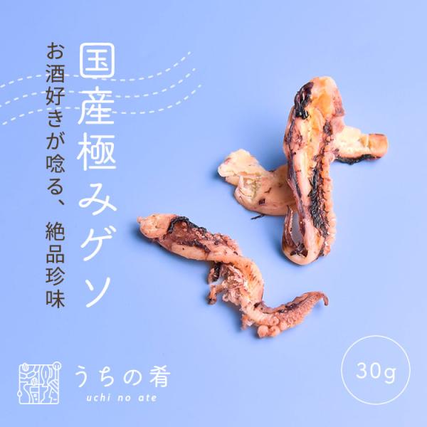 【タイムセール開催中】おつまみ つまみ プチギフト 匠 国産 極み ゲソ 匠の国産極みゲソ チャック付き 珍味 いか 1袋 30g 送料無料 uchinoate