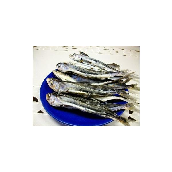 yz茧Y pϊ@PRO@//grEI