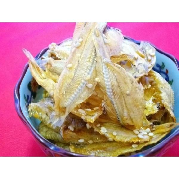 yz@JVE⋋B@Ɩp@킵݂XOOiPWO×Tj