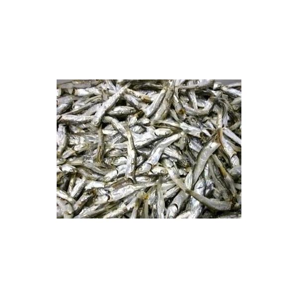 ɐYϊH肱@@PTO@@@쌧Yy[֑z